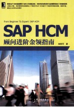 SAP HCM顾问进阶金领指南