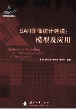 SAR图像统计建模 模型及应用