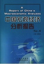 中国宏观经济分析报告 No.6