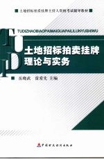 土地招标拍卖挂牌理论与实务