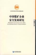 中国煤矿企业安全发展研究