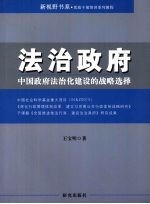 法治政府：中国政府法治化建设的战略选择