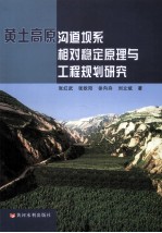 黄土高原沟道坝系相对稳定原理与工程规划研究