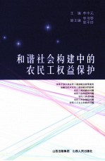 和谐社会构建中的农民工权益保护