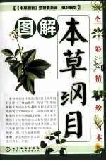 图解本草纲目 全彩精绘本