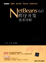 NetBeans 6.0程序开发技术详解