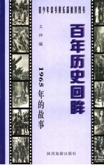 1965年的故事