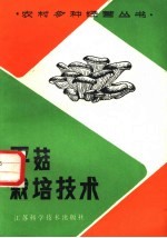 平菇栽培技术