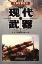 现代武器