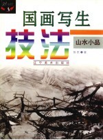 国画写生技法 山水小品