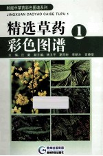 精选草药彩色图谱 1