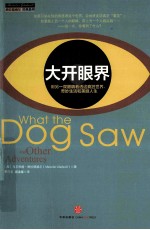 大开眼界 用另一双眼睛看透这疯狂世界、美丽人生和奇妙生活 第2版