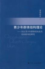 青少年群体结构理论 社区青少年群体结构及其结构性风险研究