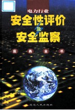 电力行业安全性评价及安全监察实务全书 第2卷