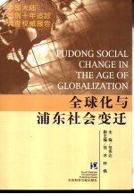 全球化与浦东社会变迁 中国大陆首例十年追踪调查权威报告