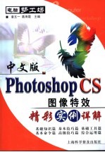 中文版Photoshop CS图像特效精彩实例详解