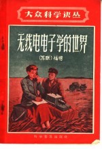 无线电电子学的世界