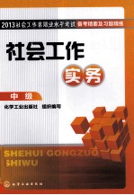 2013社会工作者职业水平考试备考精要及习题精练  社会工作实务  中级