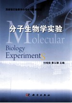 分子生物学实验