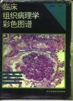 临床组织病理学彩色图谱