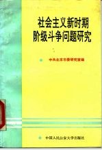 社会主义新时期阶级斗争问题研究