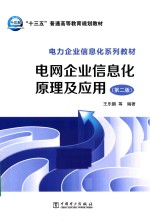 电网企业信息化原理及应用 第2版