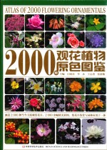 2000种观花植物原色图鉴