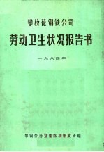 攀枝花钢铁公司劳动卫生状况报告书 1984年