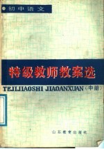 初中语文特级教师教案选 中