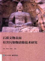 石质文物表面有害污染物清除技术研究