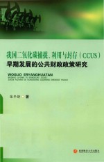 我国二氧化碳捕捉、利用与封存（CCUS）早期发展的公共财政政策研究