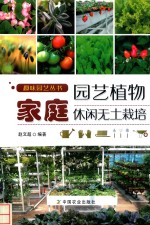 家庭园艺植物休闲无土栽培