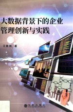 大数据背景下的企业管理创新与实践