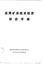 实用矿床技术经济评价手册