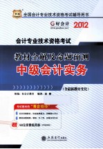 2012会计专业技术资格考试教材全解及命题预测 中级会计实务