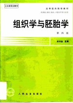 组织学与胚胎学  （第四版）