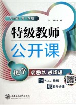 特级教师公开课  化学  九年级第1学期