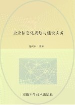 企业信息化规划与建设实务