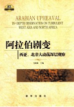 阿拉伯剧变  西亚、北非大动荡深层观察  in-depth observation on turbulent West Asia and North Africa