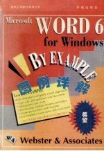 Microsoft Word 6 for Windows图例详解