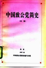 中国政公党简史 初稿