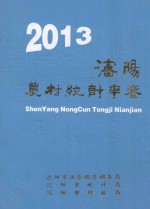 沈阳农村统计年鉴 2013