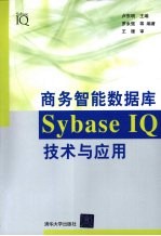 商务智能数据库Sybase IQ技术与应用