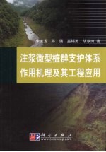 注浆微型桩群支护体系作用机理及其工程应用