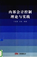 内部会计控制理论与实践