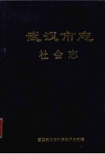 武汉市志 社会志