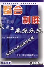 整合制胜 国内国际大品牌案例分析营销策略