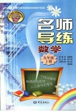 名师导练  数学  九年级  上册