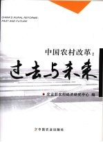 中国农村改革：过去与未来