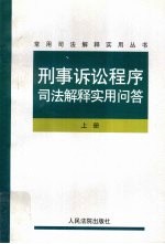 刑事诉讼程序司法解释实用问答 上